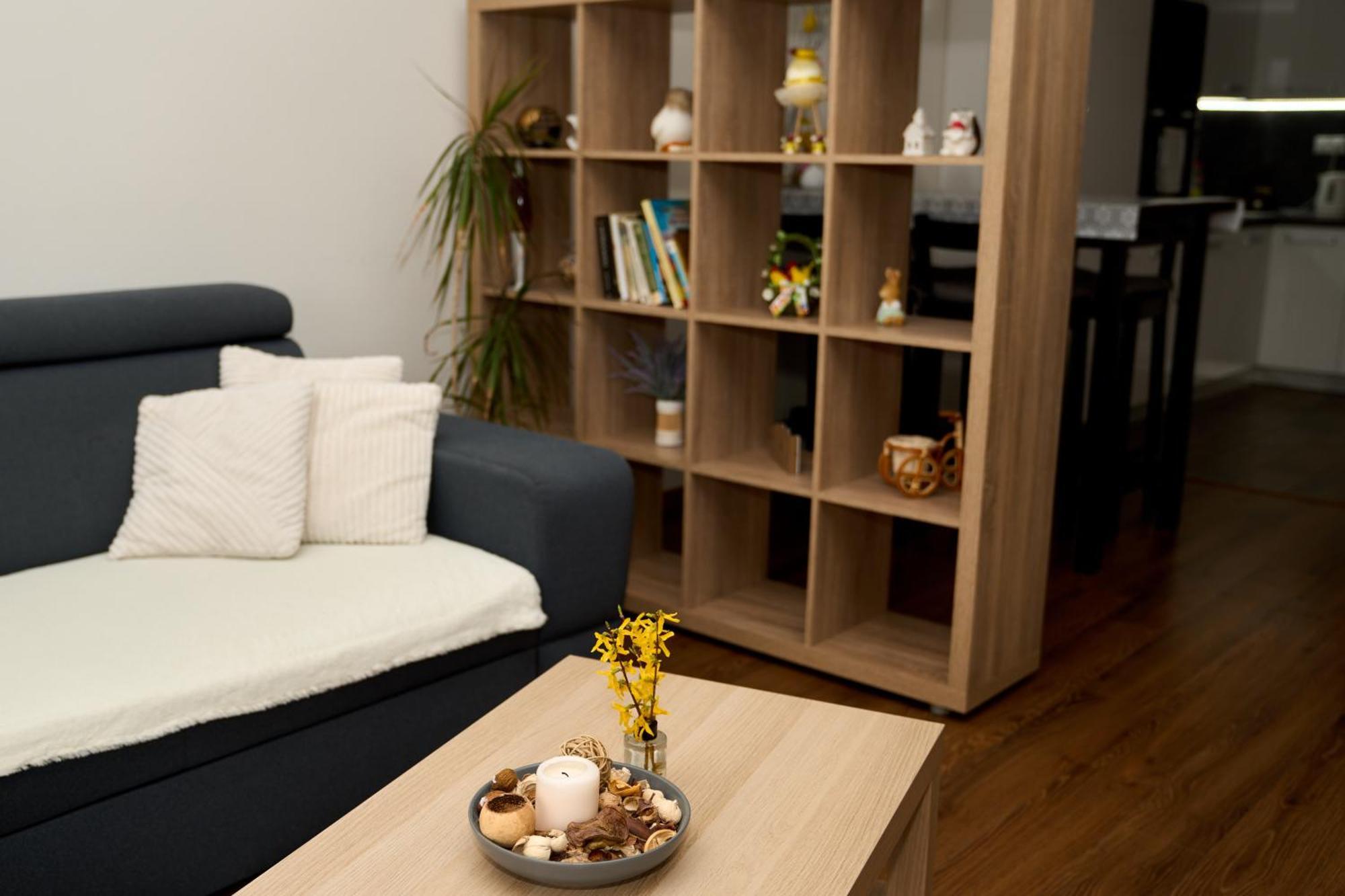 Apartman A&M บันสกาบิสตรีตซา ภายนอก รูปภาพ